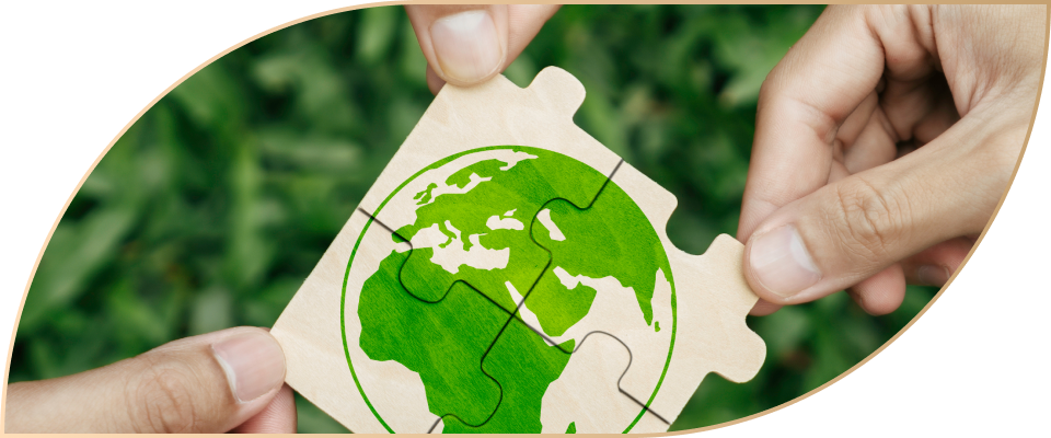 img-governance-01 img-governance-01